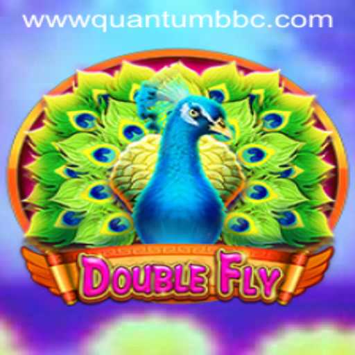 Exploring DoubleFly: The Quantum Adventure Unveiled
